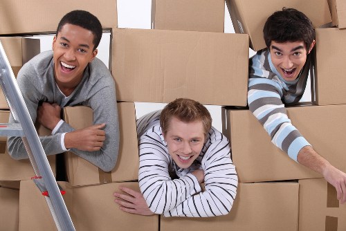 Professional van services in St Johns Wood